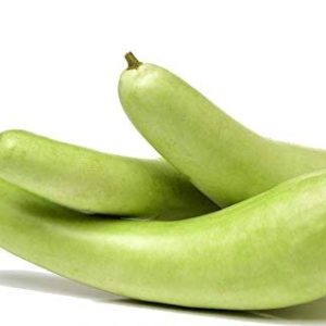 Bottle Gourd (ghiya,loki)