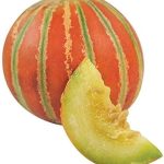 Muskmelon (kharbooja)