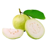 Guava (Amrood)