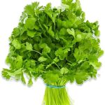 Coriander Leaves (Dhaniya)