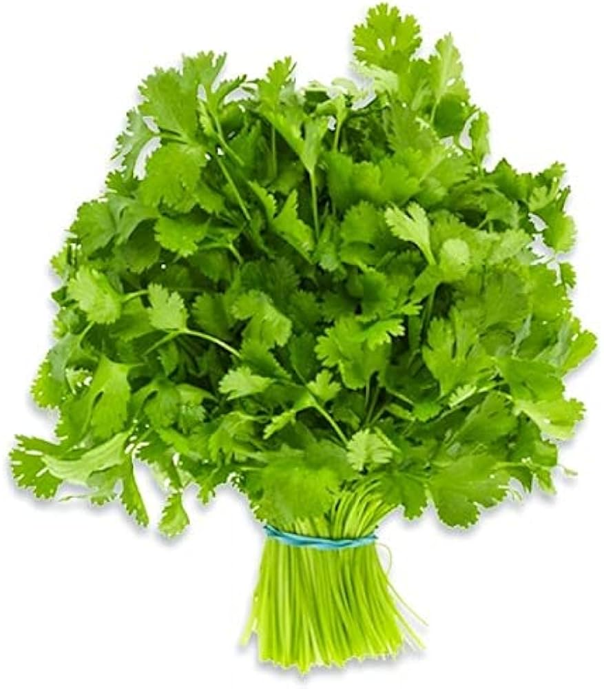 Coriander Leaves (Dhaniya)