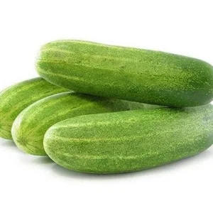 Cucumber (Kheera)