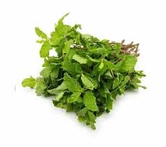 Mint (Pudina)
