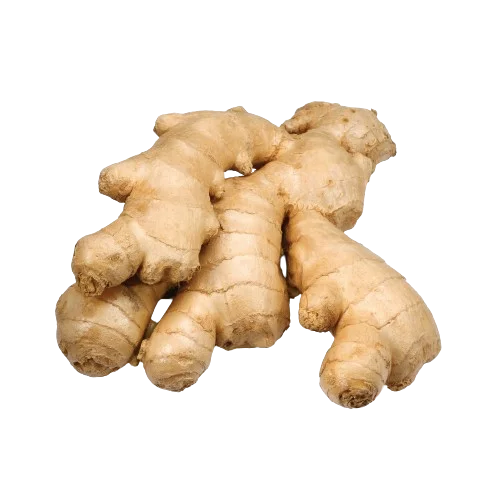 Ginger(Adrak)