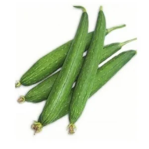 Ridge Gourd (tori)